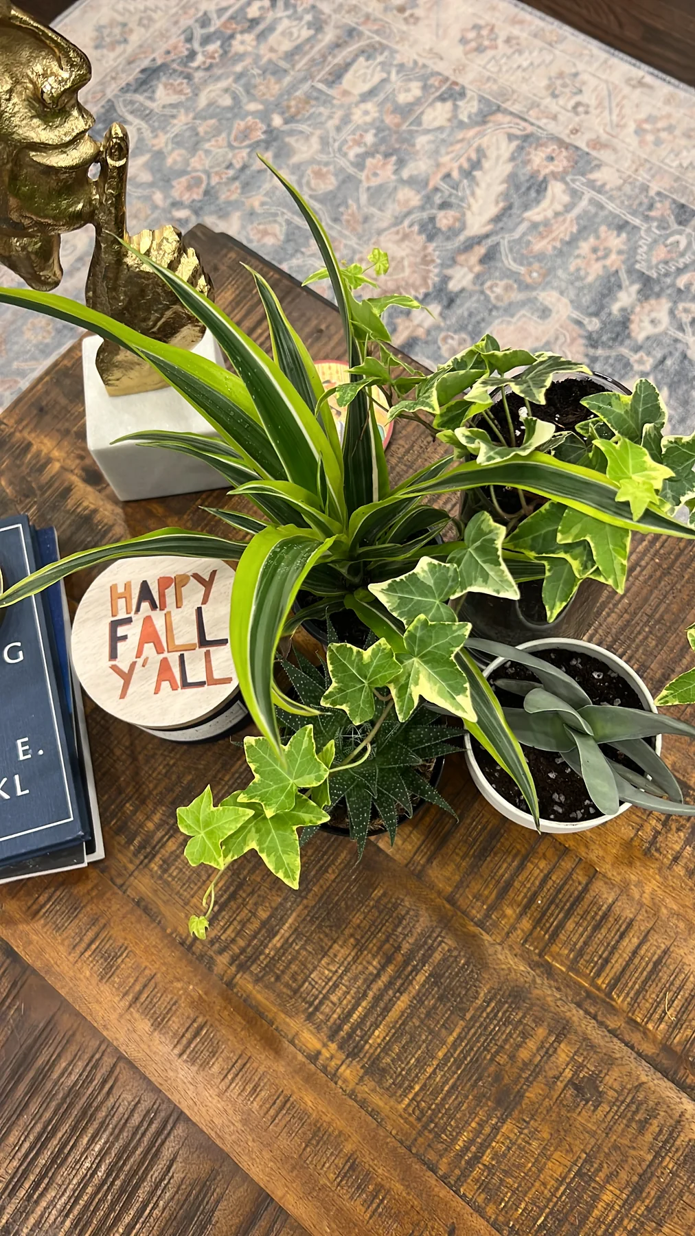 Plant and garden photograph 15