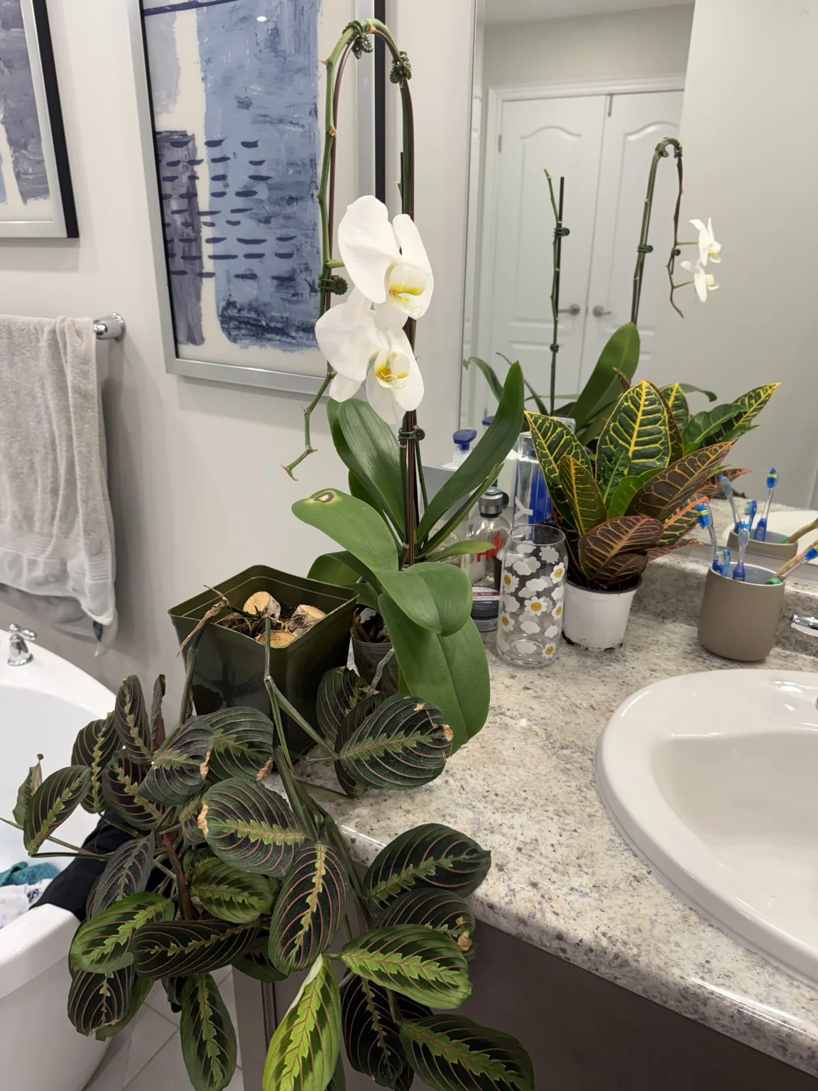 Bathroom collection